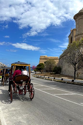 Horse and carriage on the streets of Valetta 